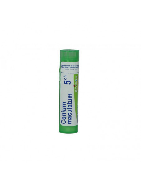 Conium maculatum 5ch gr