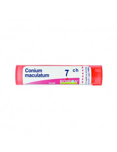 Conium maculatum 7ch gr