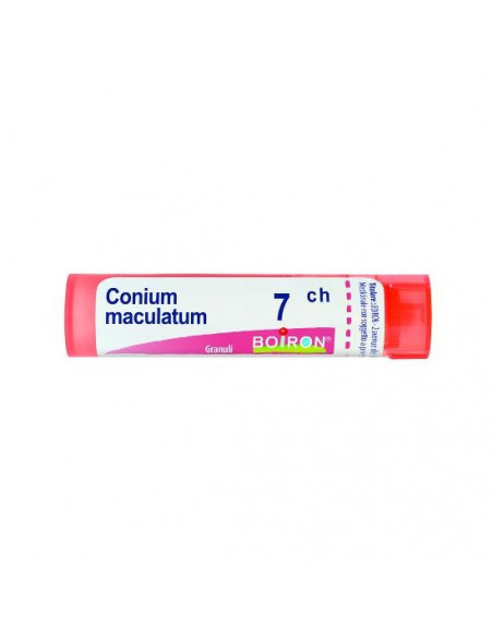 Conium maculatum 7ch gr