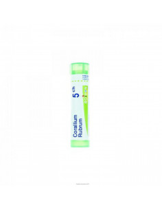 Corallium rubrum 5ch gr