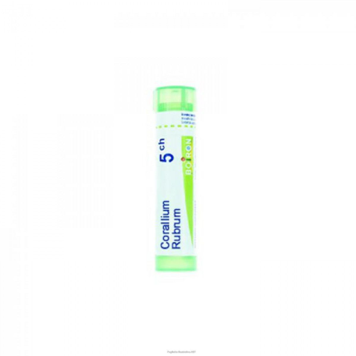 Corallium rubrum 5ch gr