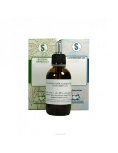 Coriandolo 60ml tm