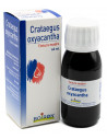 Crataegus oxyacantha 60ml tm
