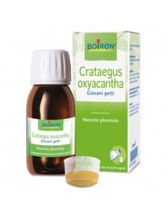 Crataegus oxyacantha ger 60 mg