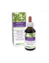 Artemisia 100ml tm