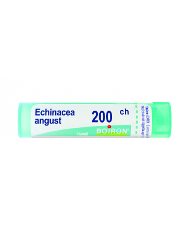 Echinacea angust 200k gl