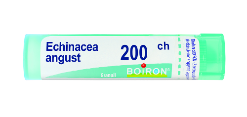 Echinacea angust 200k gl