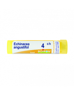 Echinacea angust 4ch gr