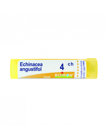 Echinacea angust 4ch gr