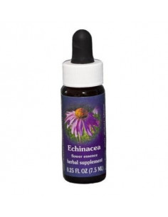 Echinacea ess 7,4ml calf