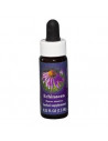 Echinacea ess 7,4ml calf