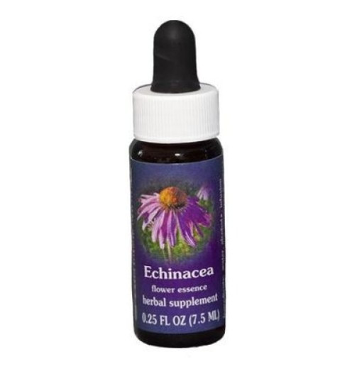 Echinacea ess 7,4ml calf