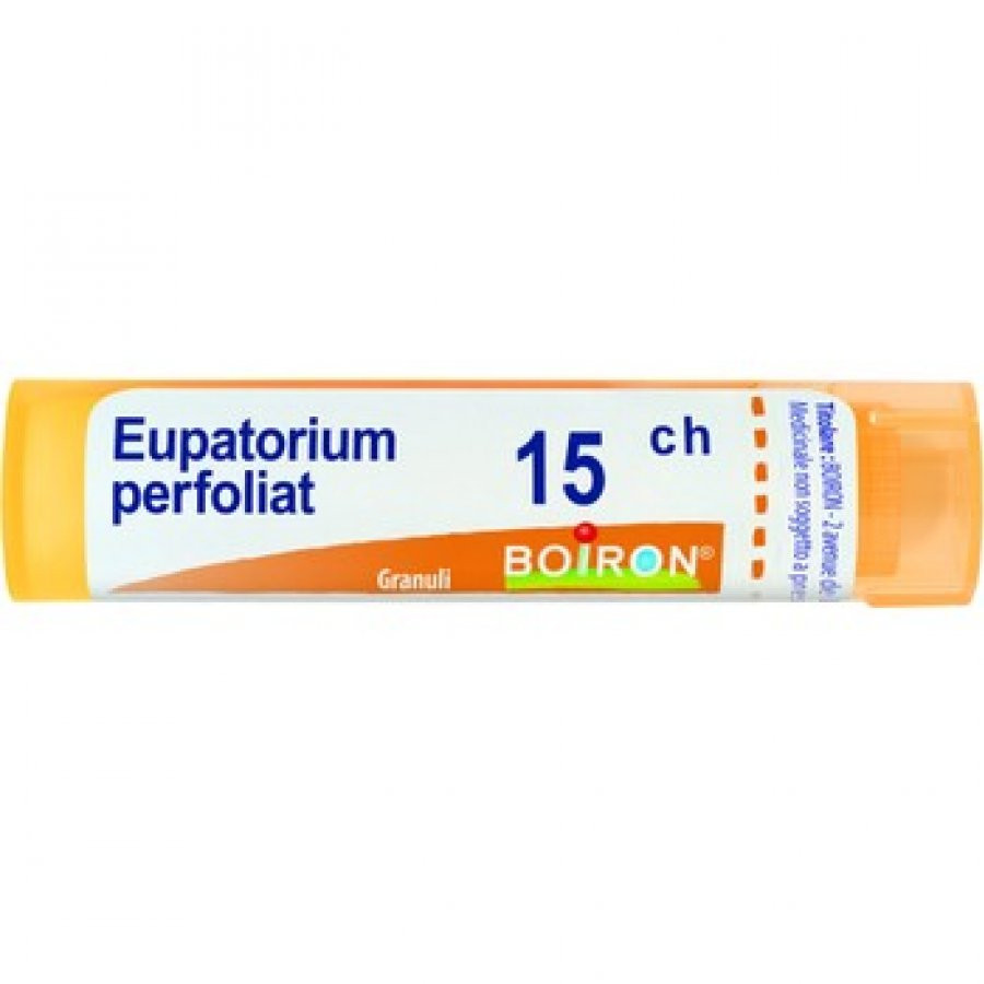 Eupatorium perfoliatum 15ch