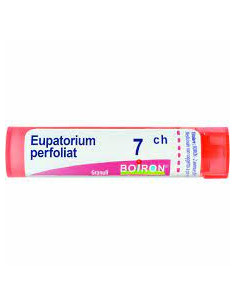 Eupatorium perfoliatum 7ch80gr