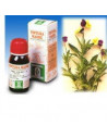 Viola del pensiero 32 50ml tm