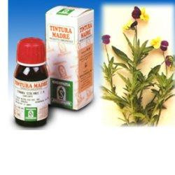 Image of Viola del pensiero 32 50ml tm cod085