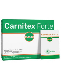 Carnitex forte 14 bustine
