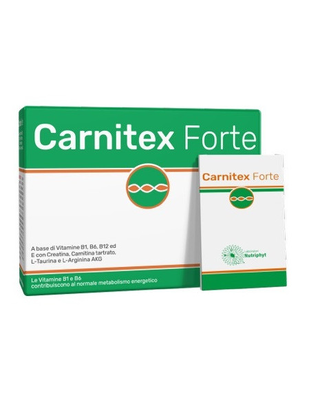 Carnitex forte 14 bustine