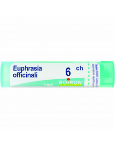 Euphrasia off 6ch gr