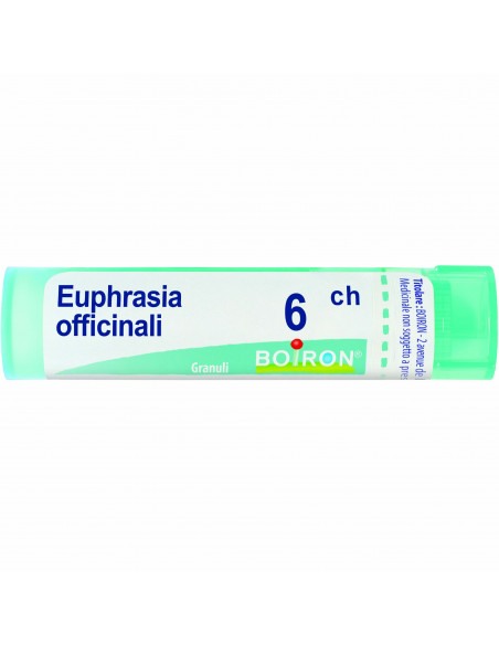 Euphrasia off 6ch gr