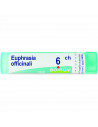 Euphrasia off 6ch gr