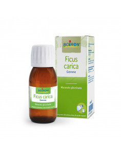 Ficus carica gemme 60ml mg