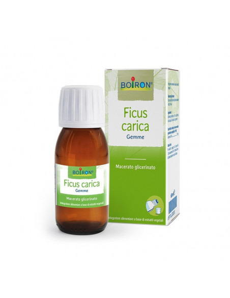 Ficus carica gemme 60ml mg