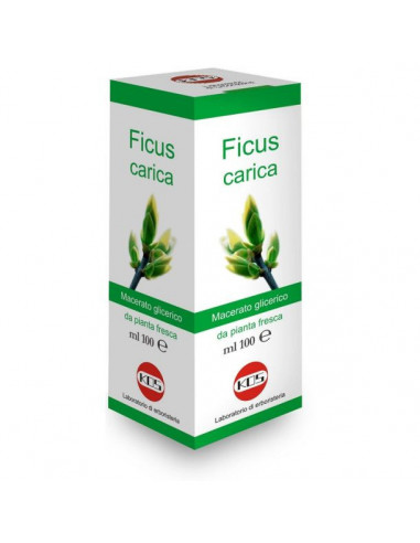 Ficus carica mg10% gocce 100ml