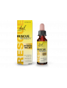 Flower bach essences rescue re