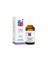 Fm cantharis complex*30ml gtt