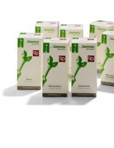 Bursa pastoris 60ml tm