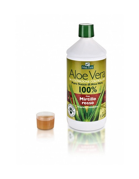 Aloe vera succo mirtillo 1l