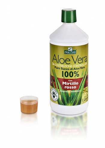 Image of Aloe vera succo mirtillo 1l cod085