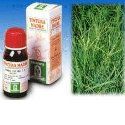 Image of Gramigna 37 50ml tm cod085
