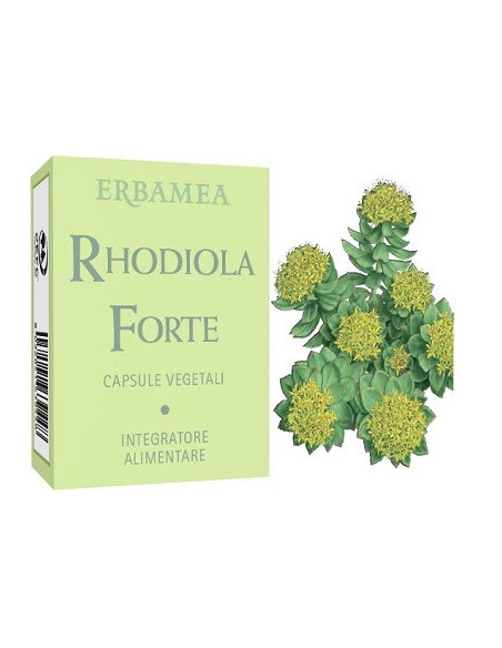Rhodiola forte 24 capsule