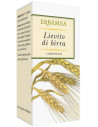 Lievito birra 250 compresse
