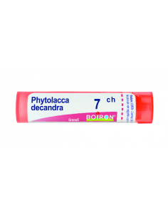 Phytolacca decandra 7ch 80gr