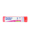 Phytolacca decandra 7ch 80gr