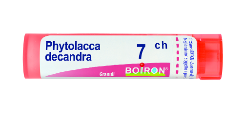 Image of Phytolacca decandra 7ch 80gr cod085