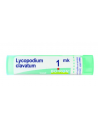 Lycopodium clavatum 1000k80gr