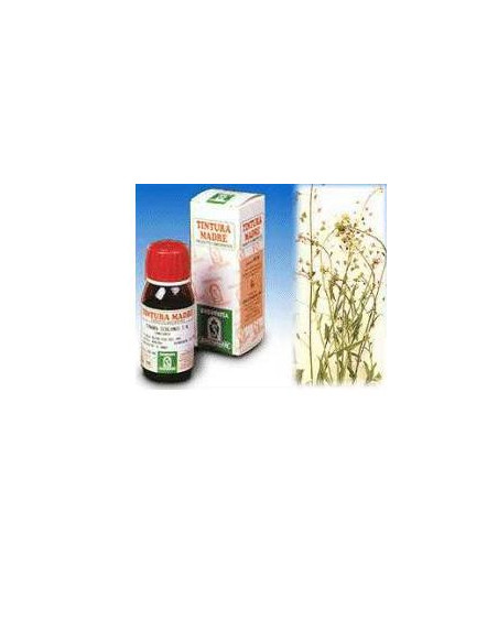 Borsa pastore 4 50ml tm