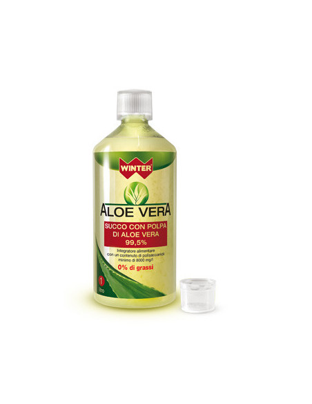 Winter aloe vera succo/polpa1l