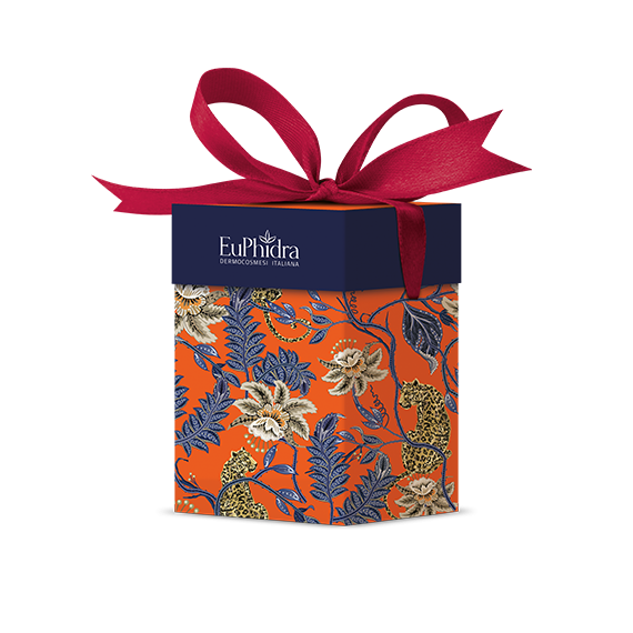 Image of Euphidra beauty zen 2 pezzi cod085