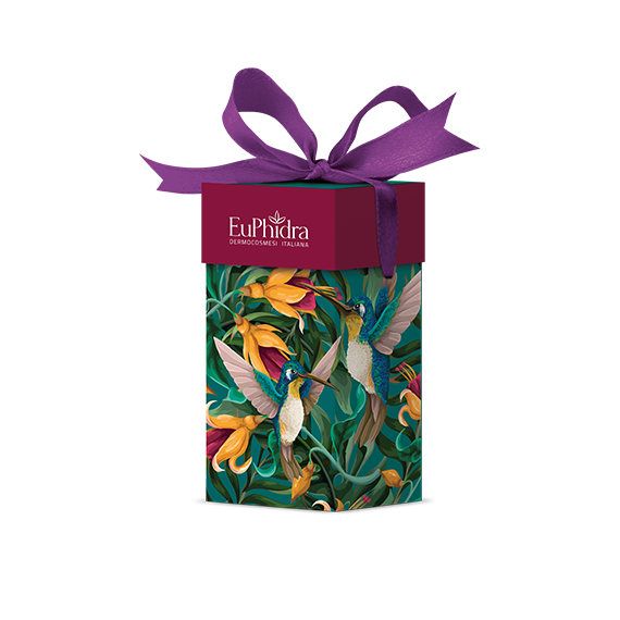 Image of Euphidra bordeaux royale 2 pezzi cod085