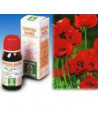 Papavero california 13 50ml tm