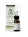 Lavanda vera oe 10ml