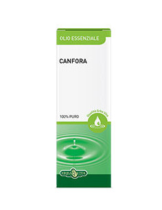 Olio essenziale canfora 10ml
