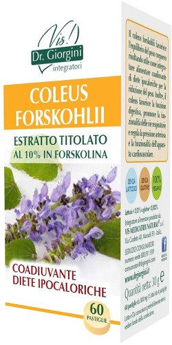 Image of Coleus for estr tit 60past cod085