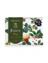 Forte plus 14 flaconcini da 10ml s/gl e