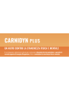 Carnidyn plus per stanchezza fisica e mentale gusto arancia 20 bustine